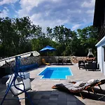 Irena Villa *