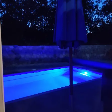 Irena Villa *