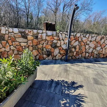 Irena Villa *