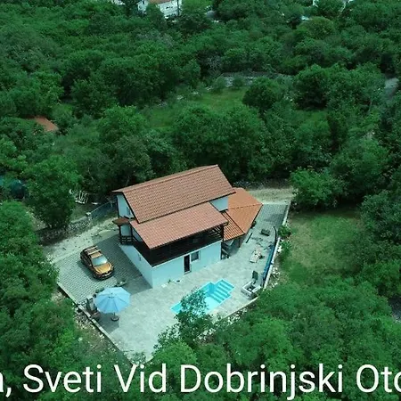 Irena Villa *